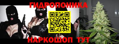 индика Будённовск