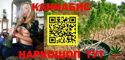 индика Будённовск