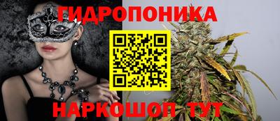 индика Будённовск