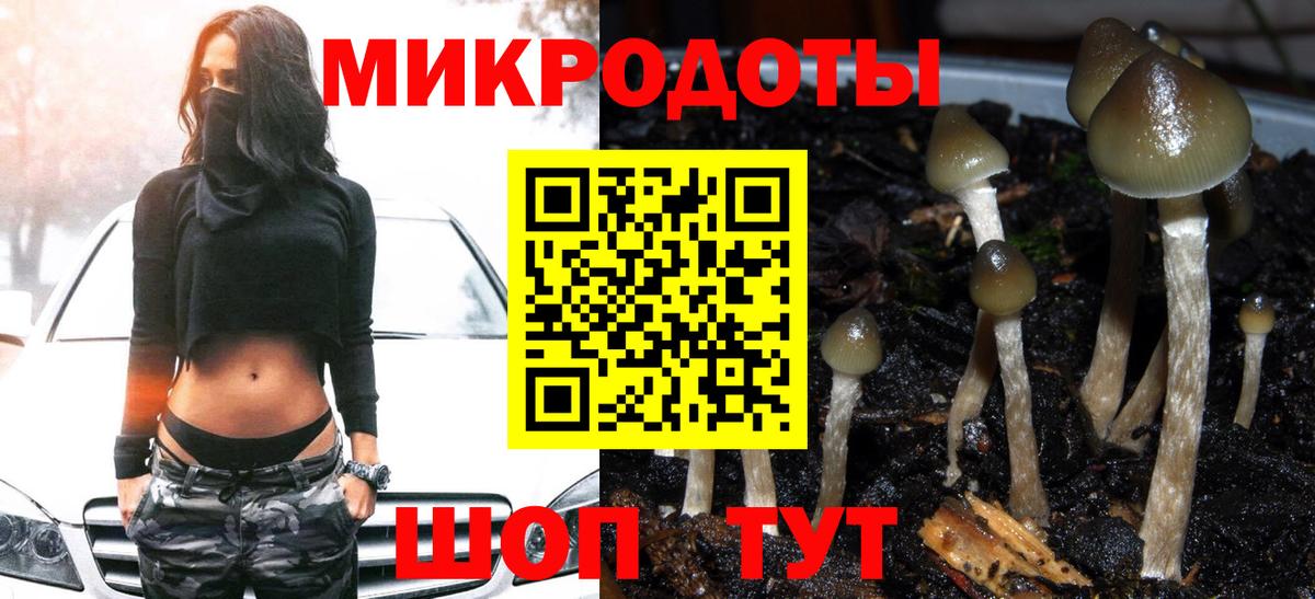 Санкт-Петербург  Галлюциногенные грибы прущие грибы  Псилоцибиновые грибы мицелий  Вход с VPN 